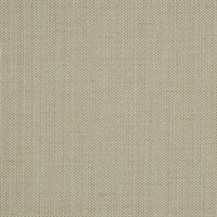 Raising Cain Bungee Cord