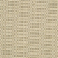 Raising Cain Champagne Taste