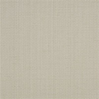 Raising Cain Rowdy Hall