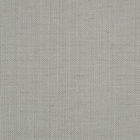 Raising Cain Silver Hi-jinks