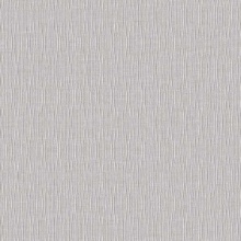 Rapport Vertical Stria Frost