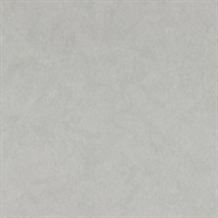 Reflection Cream Shivers