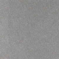 Reflection Dorian Grey