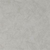 Reflection Ego-Shell