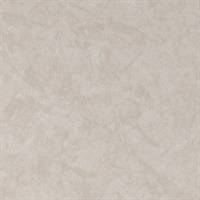 Reflection Eternal Youth