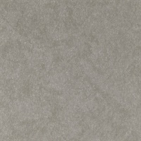 Reflection Every Young