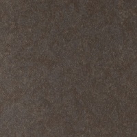 Reflection Lady Godiva