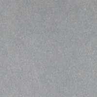 Reflection Looking Glass