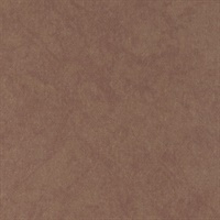 Reflection Naked Truth