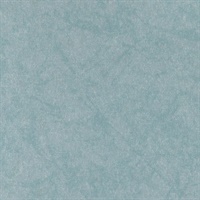 Reflection Narcissus' Pool