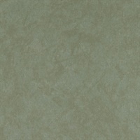 Reflection S-Ageless