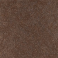 Reflection Smolder Sepia