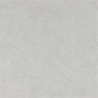 Reflection Snow White