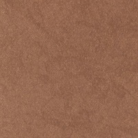 Reflection Terra-Tory