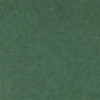 Reflection Wicked Envy