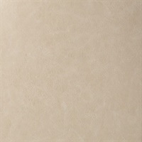 Reserve Riesling Stone Commercial Vinyl