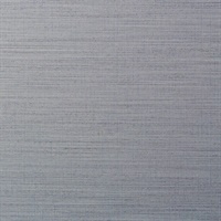 Resham Dusty Blue Wall Protection