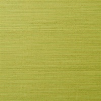 Resham Earthy Green Wall Protection