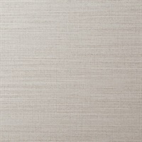 Resham Gris Wall Protection