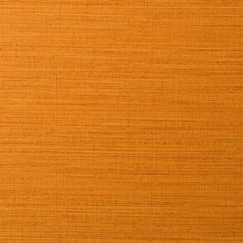 Resham Tangerine Wall Protection