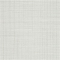 Rivulet Stream Glacier White