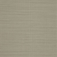 Rivulet Stream Morning Grey