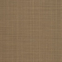 Rivulet Stream Otter