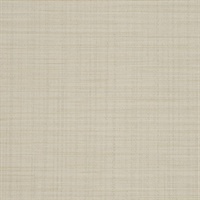 Rivulet Stream Pale Driftwood