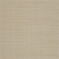 Rivulet Stream Pebble