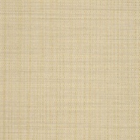 Rivulet Stream Sandy Shore