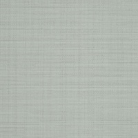 Rivulet Stream Waterfall