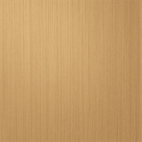 Rock 'N' Roll Tan Halen Stria