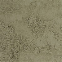 Rock & Roll Green Day