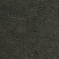 Rock & Roll Paint it Black