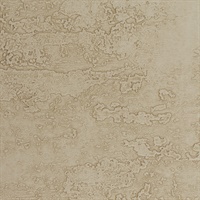 Rock & Roll Rolling Stone