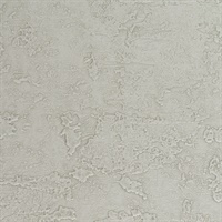 Rock & Roll Touch of Grey