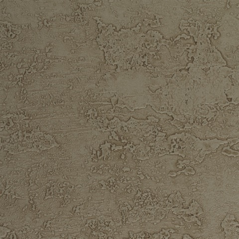 Rock & Roll Turn to Stone