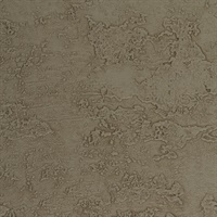 Rock & Roll Turn to Stone