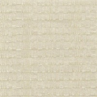 Rock Steady Bare Surge