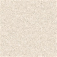 Roma Leather 54 Buff