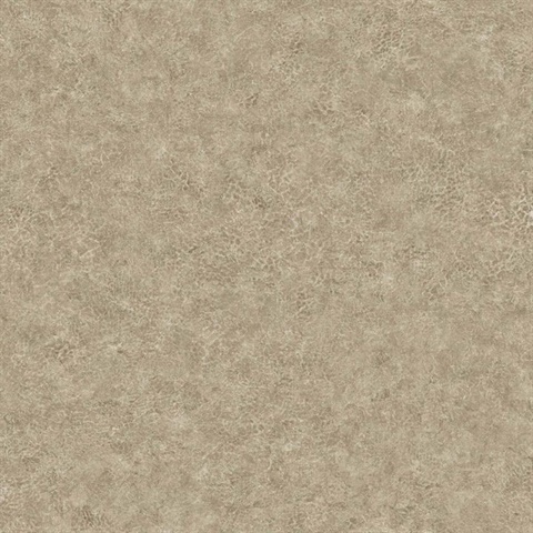 Roma Leather 54 Walnut