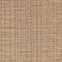 Safari Amaretto Lion