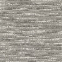 Safety Net Glossy Pewter