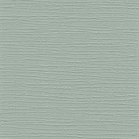 Safety Net Pale Sage