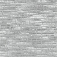 Safety Net Silver Velvet