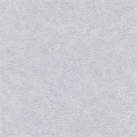 Saffian Leather Dove