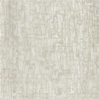 Salvaged Arctic Shell