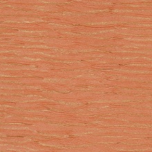 Sand Waves Burnt Sienna