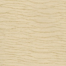 Sand Waves Sandcastle