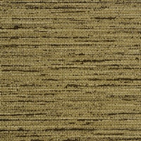 Savannah Carriage Ride